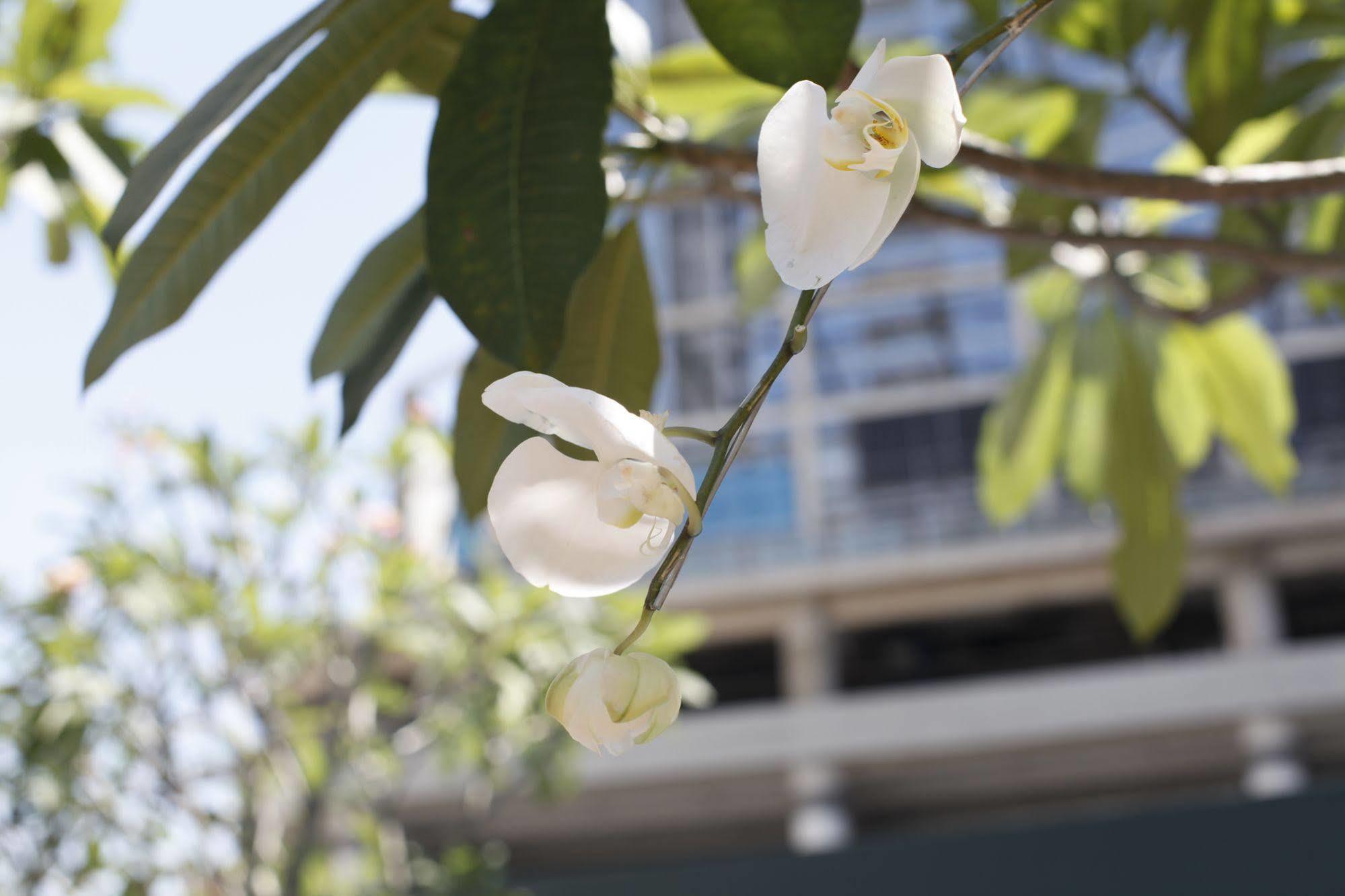 Four Points By Sheraton Surabaya, Tunjungan Plaza מראה חיצוני תמונה